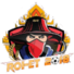 罗埃2018